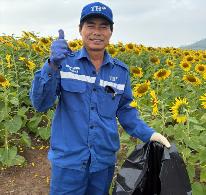 Một nhân viên TH giúp thu dọn rác tại cánh đồng vào cuối ngày.