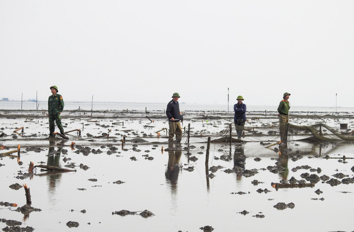Cơ quan công an phối hợp tổ chức xử lý những bãi nuôi ngao tự phát tập trung tại nhiều địa phương khu vực miền Đông của tỉnh Quảng Ninh.