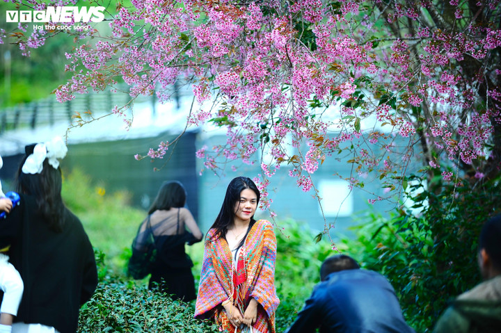 ... Đà Lạt lại hối hả đón chào bước chân du khách. Phố núi bước vào mùa hẹn hò lãng mạn nhất trong năm.