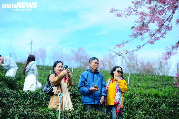 Những chiếc điện thoại hoạt động hết công suất trong không gian mênh mông và thơ mộng.