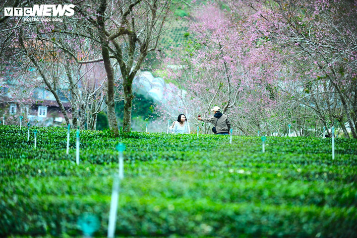 Những bạn trẻ thích thú, đắm chìm trong không gian vô cùng lãng mạn.