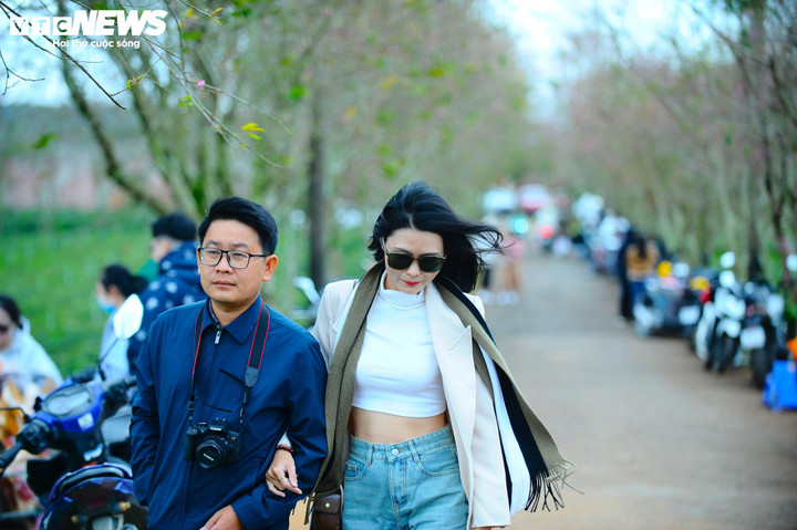 Trên những cung đường quanh đồi chè Cầu Đất, du khách nô nức đổ về dạo chơi, tham quan.