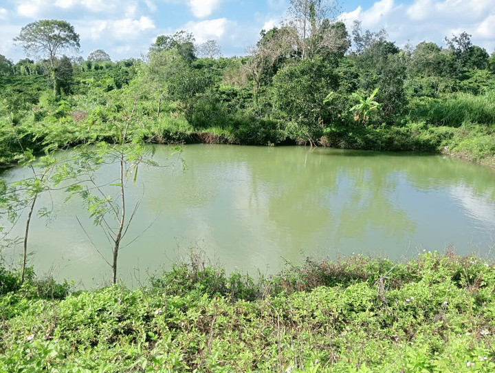 Khu vực xảy ra vụ đuối nước.