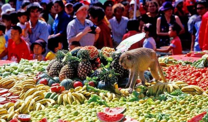 Lễ hội buffet chỉ dành riêng cho khỉ là nét văn hoá độc đáo tại thành phố Lopburi. (Ảnh: TAT)