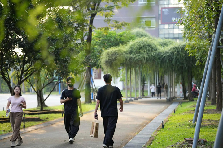 Chàng trai đi quanh trường đại học tặng kẹo cho người lạ chỉ vì một lý do - 1