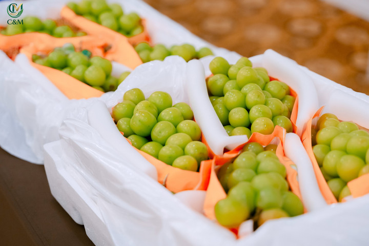 Định hướng của C&M không chỉ là thương mại đơn thuần, mà còn hướng tới xây dựng hệ sinh thái nông sản bền vững.