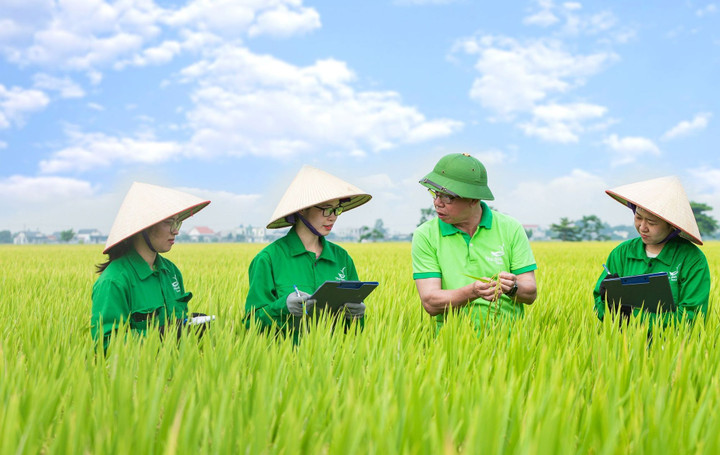 ThaiBinh Seed tiên phong giải pháp lúa gạo giảm phát thải, thích ứng thiên tai - 1