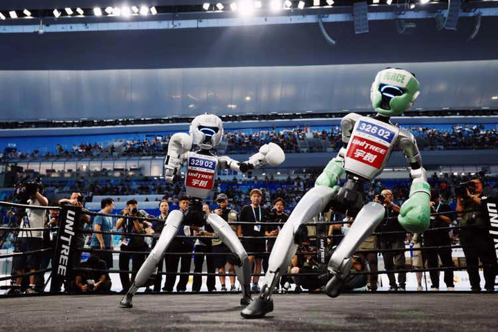 Robot trong võ đài. (Nguồn: Lintao Zhang)