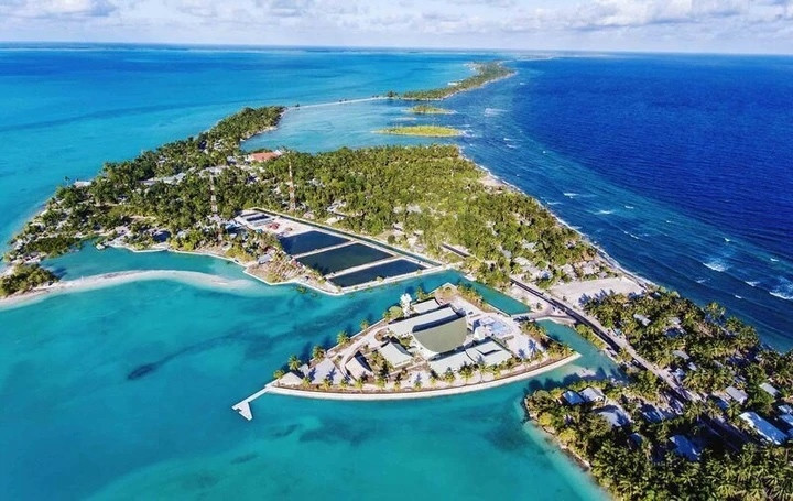 Kiribati là quốc gia đón giao thừa năm 2026 sớm nhất. (Ảnh: Pinterest)