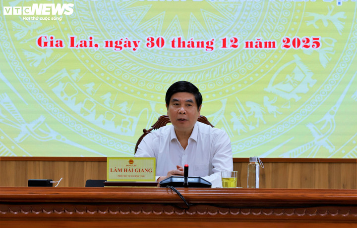 Ông Lâm Hải Giang, Phó Chủ tịch UBND tỉnh Gia Lai trả lời báo chí tại buổi họp báo.