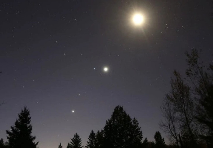 Từ trên xuống: Mặt trăng, sao lùn Regulus, sao Kim, sao Hỏa và sao Mộc. (Ảnh: Universetoday)