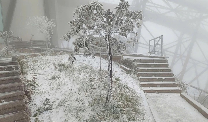 Đợt tuyết rơi trong tháng 1/2025 ở đỉnh Fansipan. (Ảnh: Sungroup)