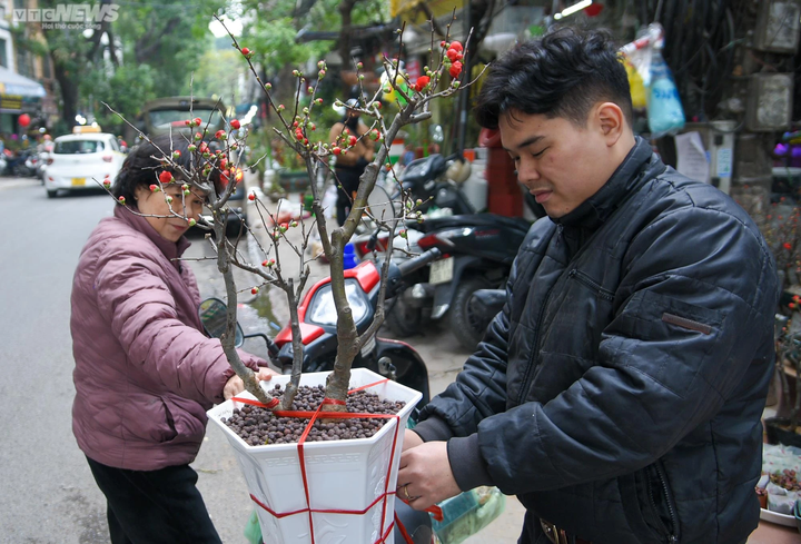 Nhiều người có thói quen trồng cây vào tiết Lập xuân để mong cầu may mắn. (Ảnh: Ngô Nhung)