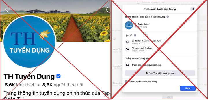Fanpage giả mạo tuyển dụng Tập đoàn TH.
