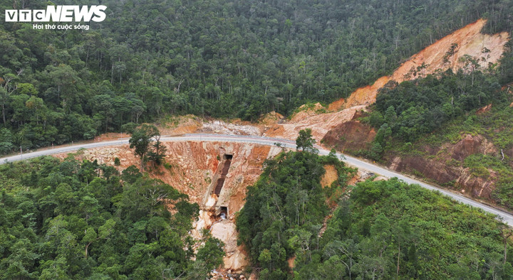 Các vệt này bề mặt lổn nhổn đá vụn, không còn cây bám rễ. So với phần rừng xung quanh, chúng nổi bật rõ rệt, kéo dài hàng chục mét, có nơi rộng vài mét.