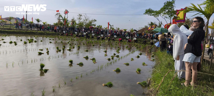 Không chỉ dành cho nông dân địa phương, lễ hội xuống đồng Hội An Đông 2026 còn mở rộng thành một không gian văn hóa mở, mang đến nhiều trải nghiệm đặc sắc và các hoạt động giao lưu sôi nổi giữa du khách và người dân địa phương.