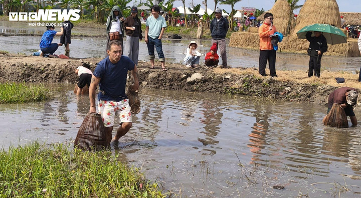 Bên cạnh cấy lúa, du khách còn hào hứng khi trải nghiệm với công việc nơm cá trên đồng ruộng.