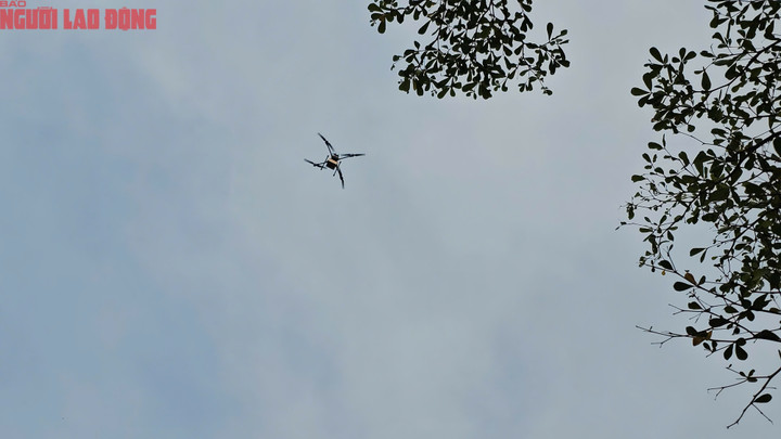 Quá trình thử nghiệm giao kiện hàng bằng thiết bị bay không người lái trong khu vực Khu Công nghệ cao TP.HCM