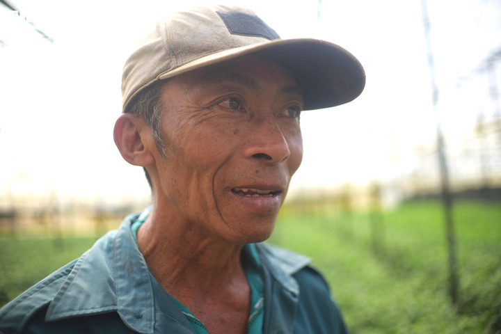 Ông Trần Đình Đề chia sẻ, trồng hoa Tết là lúc bà con nông dân có nhiều cảm xúc nhất. Vụ hoa Tết ở Đà Lạt không chỉ là một mùa sản xuất, mà là nhịp đập kinh tế - xã hội rất đặc biệt của phố núi. Một nhịp đập âm thầm, không ồn ào, nhưng giữ cho “thủ phủ hoa” luôn rực rỡ mỗi độ xuân về.