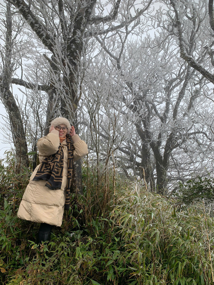 Du khách thích thú ghi lại khoảnh khắc băng giá phủ trắng cành cây, ngọn cỏ.