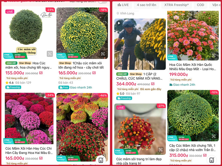 Hoa Tết được bán nhiều trên các sàn thương mại điện tử.