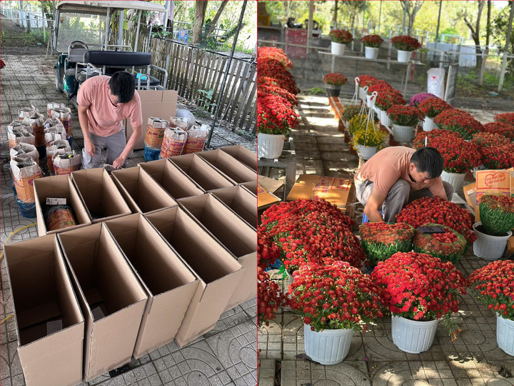 Khâu đóng gói là một trong những khó khăn khi bán hoa Tết online.