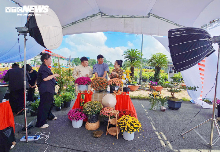 Các phiên livestream thu hút đông đảo người xem trên các nền tảng.