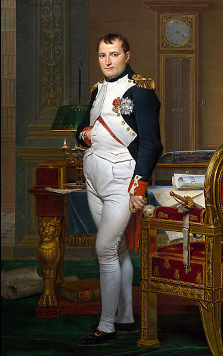 Chân dung Napoleon Bonaparte.