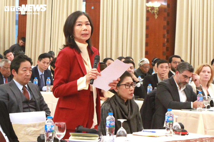 Bà Pauline Tamesis, Điều phối viên thường trú Liên hợp quốc tại Việt Nam.