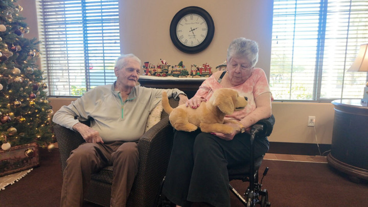 สุนัขลาบราดอร์รีทรีฟเวอร์หุ่นยนต์ที่สร้างโดย Tombot (ที่มา: Kenny Fried)