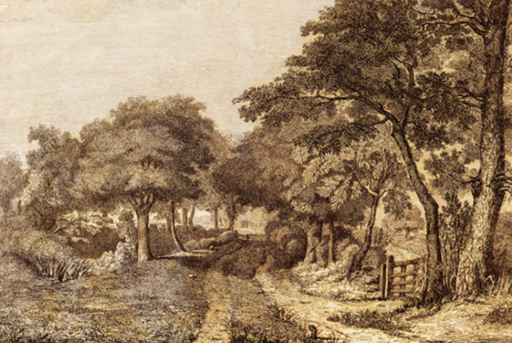 Họa sĩ phác họa hiện trường vụ án Mary Ashford. (Nguồn: Royal Collection Trust)