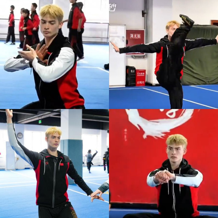 Tristan đã học nhiều môn võ truyền thống của Trung Quốc