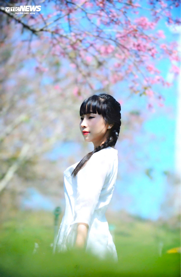 Mùa Mai Anh Đào nở là mùa đẹp nhất trong năm ở Đà Lạt.