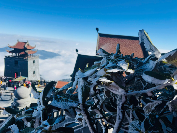 Sáng nay đỉnh Fansipan xuất hiện băng tuyết - 5