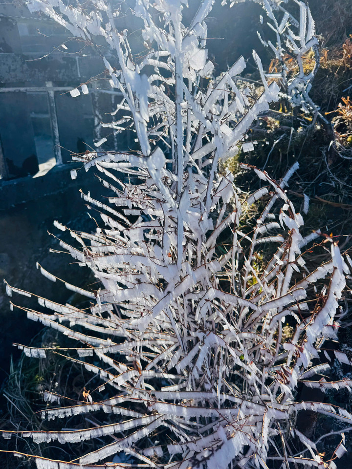 Sáng nay đỉnh Fansipan xuất hiện băng tuyết - 11