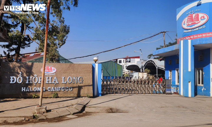 Bắt khẩn cấp Tổng giám đốc Công ty Cổ phần Đồ hộp Hạ Long.