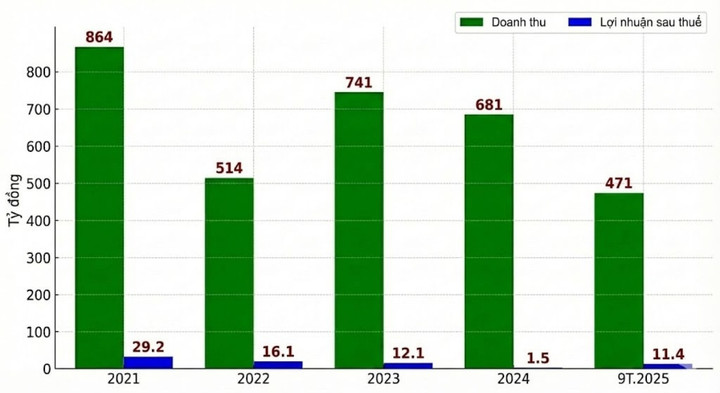 Doanh thu và lợi nhuận của Công ty Đồ hộp Hạ Long.