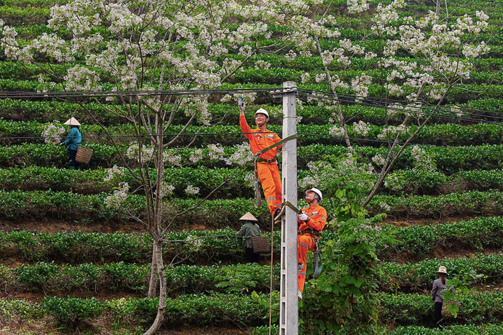 Lời chào năm mới từ những người giữ dòng điện miền Bắc - 1