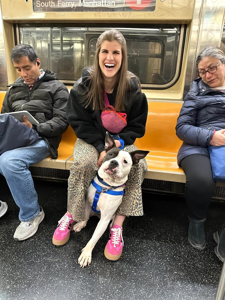 Cole Reifsnider cũng đồng tình với ý kiến ​​cho rằng chó con là người bạn đồng hành tuyệt vời khi không có nhu cầu hẹn hò.