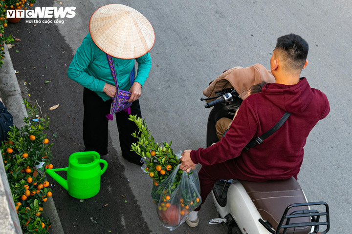 Đào, quất xuống phố, tiểu thương 'hốt bạc' ngay đầu vụ Tết - 15