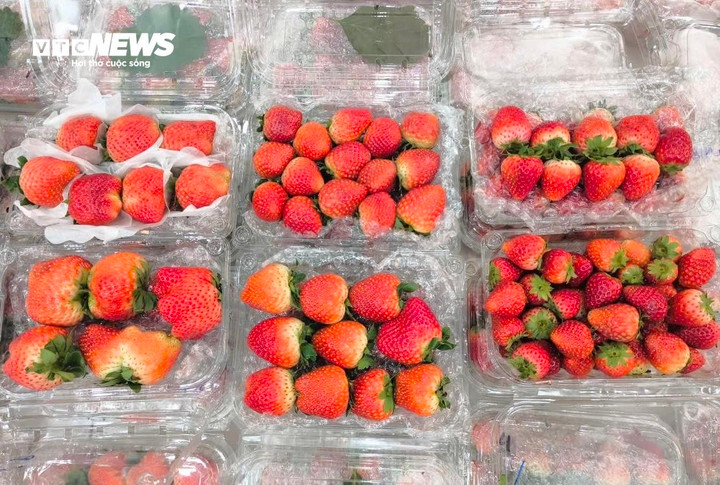 Dâu Mộc Châu đang được bán với nhiều kích cỡ khác nhau, giá dao động từ khoảng 180.000 đến 300.000 đồng/kg.