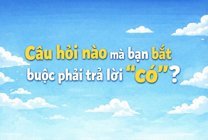 Câu hỏi nào mà bạn bắt buộc phải trả lời 'có'? (Ảnh minh họa)