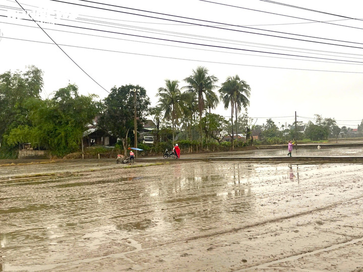 Còn tại thôn Phú Hữu, xã Hòa Thịnh hôm nay cũng là một bức tranh bình yên. Xóm làng dần hồi sinh, ruộng đồng đang được san phẳng, chuẩn bị bước vào vụ gieo sạ mới. Khó ai có thể hình dung rằng nơi đây chỉ 2 tháng trước còn chìm trong đổ nát, người dân gồng mình vật lộn với bao mất mát do cơn lũ lịch sử gây ra.