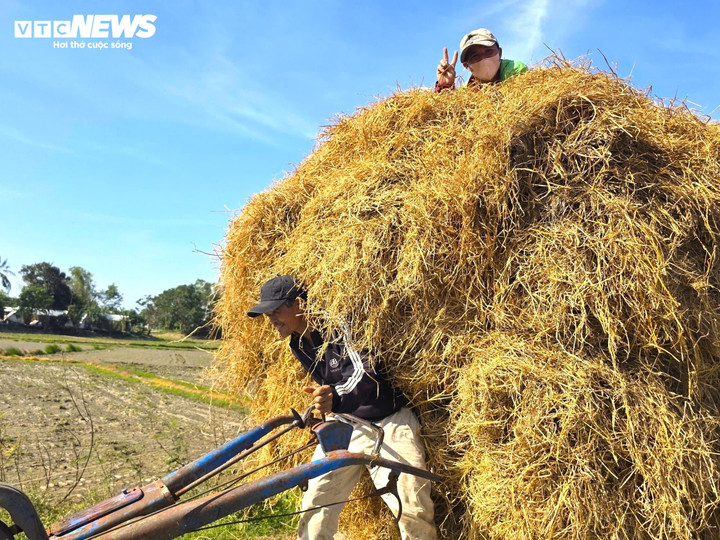 Là địa phương chịu ảnh hưởng nặng nề của cơn lũ lịch sử, người dân ở phường Đông Hòa đang dần ổn định cuộc sống.
