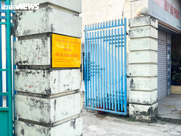 Cơ quan điều tra tạm giữ một cán bộ thuộc Chi cục thủy sản, chăn nuôi và thú y thuộc Sở Nông nghiệp và Môi trường TP Hải Phòng sau khi người này chủ động đầu thú về hành vi nhận hối lộ của Công ty Đồ hộp Hạ Long.