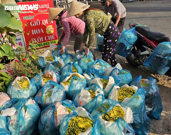 Hoa được bán với giá tại vườn nên thu hút người dân đến mua.