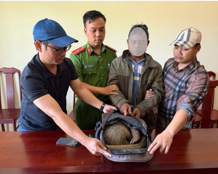 Tại cơ quan công an, A.K. khai nhận anh ta đã trực tiếp đặt bẫy bắt tê tê tại khu vực biên giới Lào – Việt Nam. (Ảnh: C.A)