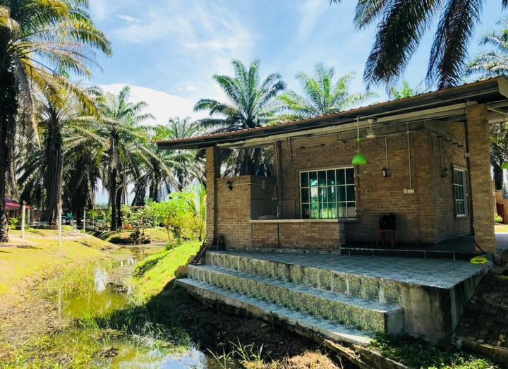 Khu nghỉ dưỡng này đã nhanh chóng kín chỗ chỉ sau một thời gian ngắn. (Nguồn: NDTV)