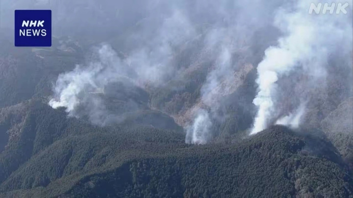 Cháy rừng bùng phát từ 17/1 tại Shizuoka, Nhật Bản. (Ảnh: NHK)