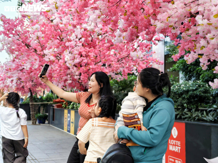 Theo ghi nhận, mỗi ngày có hàng trăm lượt người đến để chụp ảnh với linh vật ngựa